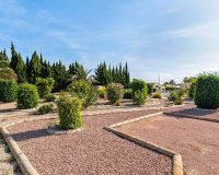 Revente - Finca -
Los Montesinos - Costa Blanca