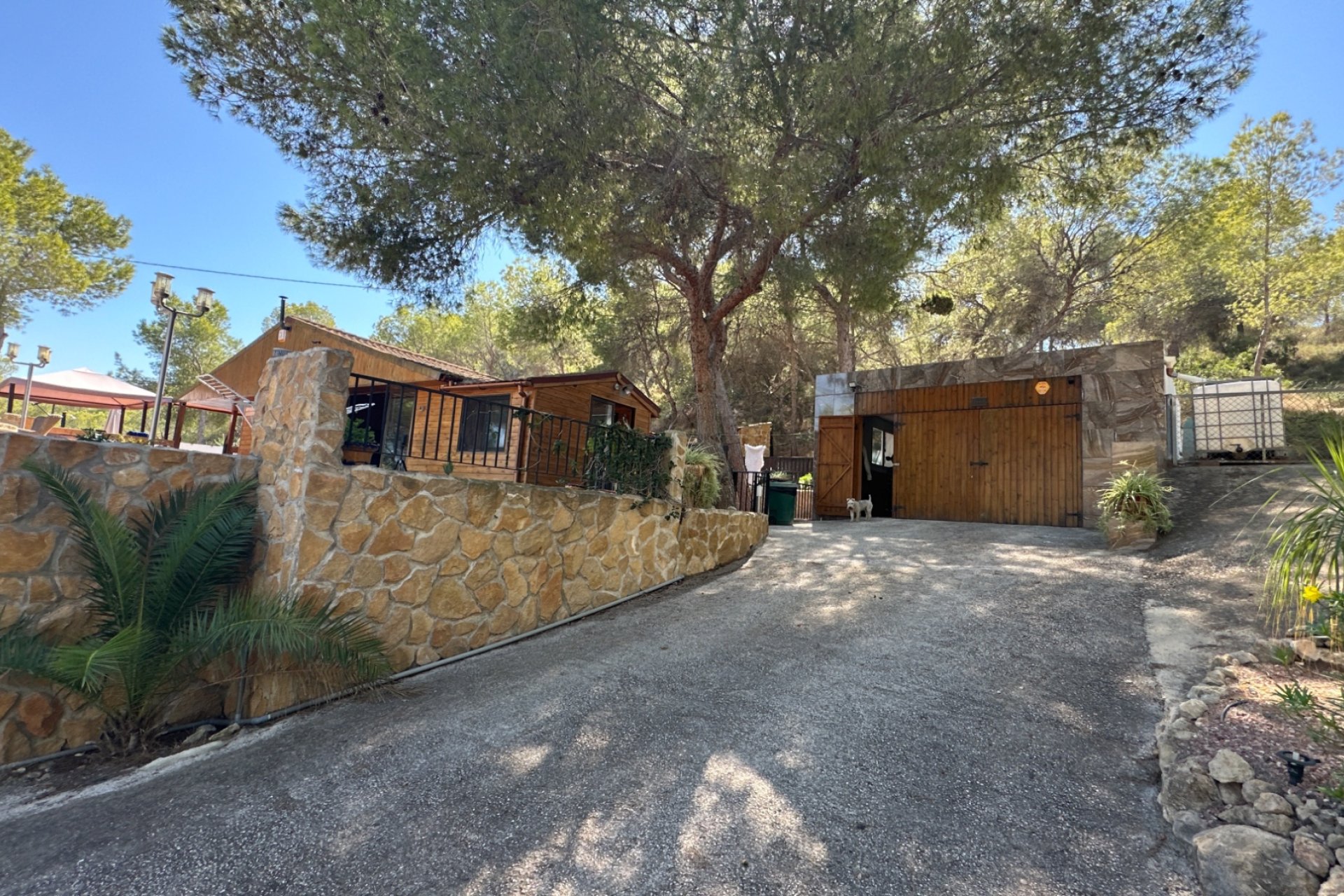Revente - Finca -
San Miguel de Salinas - Inland