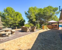 Revente - Finca -
San Miguel de Salinas - Inland