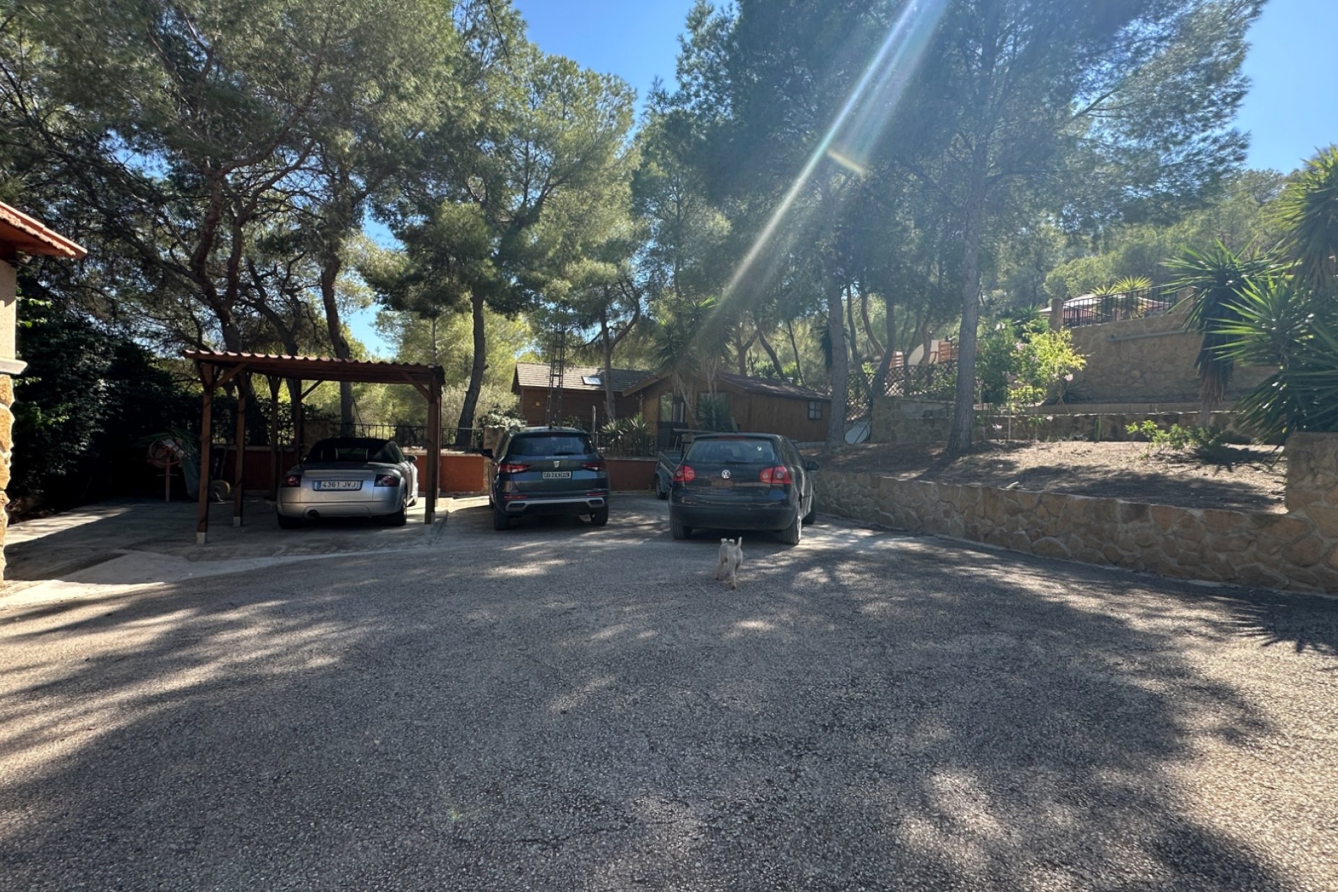 Revente - Finca -
San Miguel de Salinas - Inland