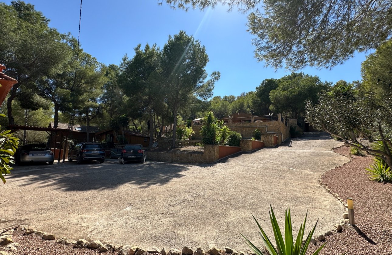 Revente - Finca -
San Miguel de Salinas - Inland