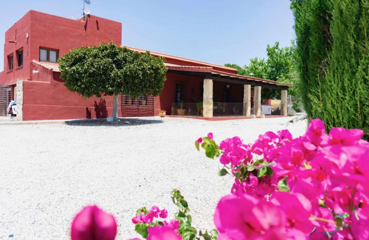 Revente - Finca -
Torremendo - Costa Blanca