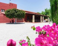 Revente - Finca -
Torremendo - Costa Blanca