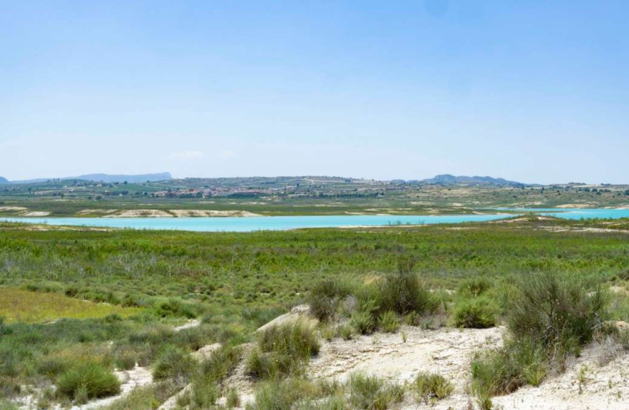 Revente - Finca -
Torremendo - Costa Blanca