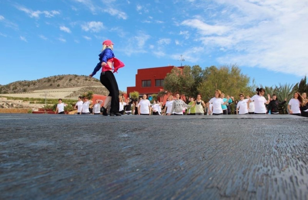 Revente - Finca -
Torremendo - Costa Blanca