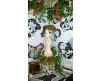 Revente - Other -
Torrevieja - Playa del Cura