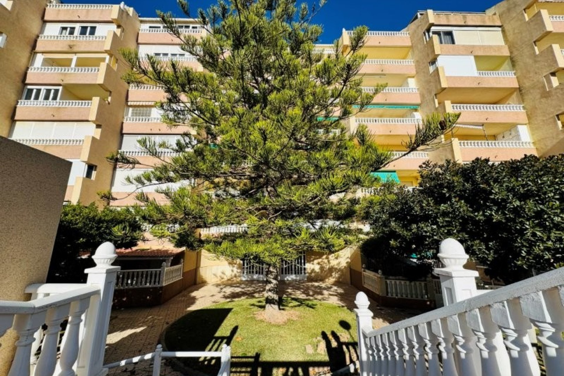 Revente - Penthouse -
La Mata - Costa Blanca