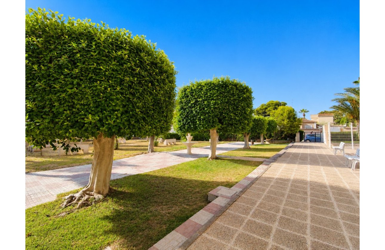 Revente - Penthouse -
La Zenia - Costa Blanca