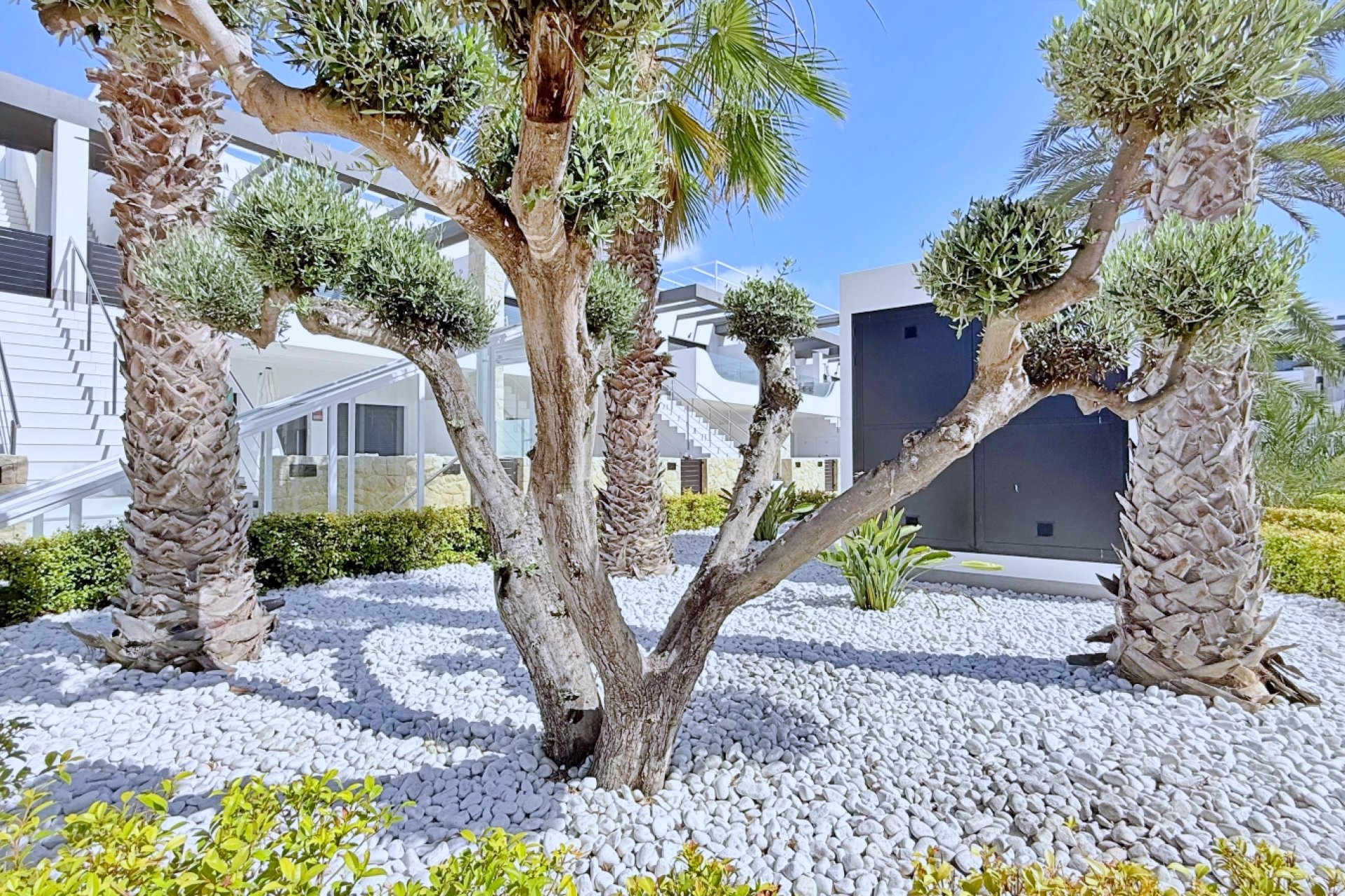 Revente - Penthouse -
Orihuela Costa - Costa Blanca