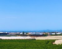 Revente - Penthouse -
Pilar de la Horadada - Costa Blanca