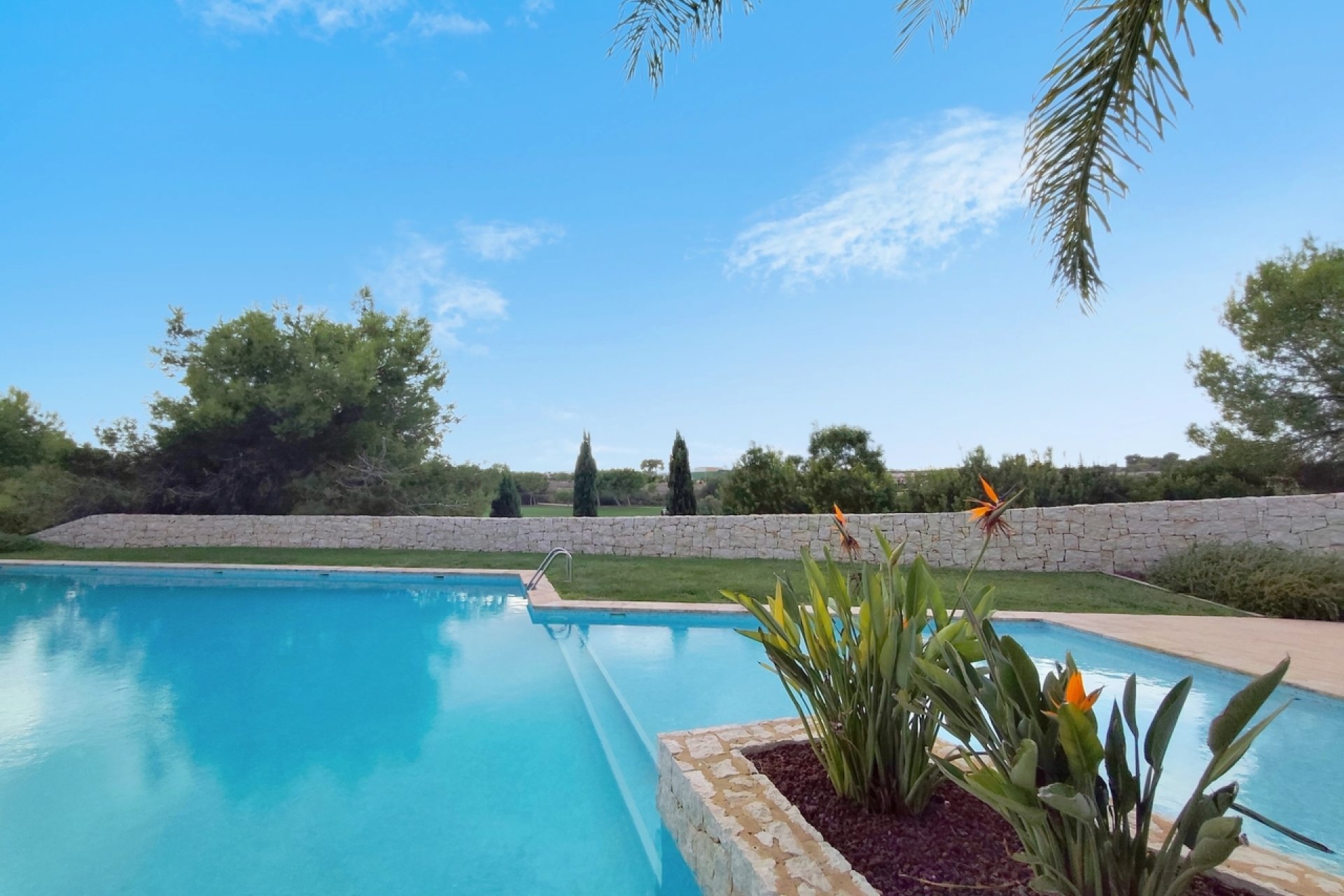 Revente - Penthouse -
Pilar de la Horadada - Costa Blanca