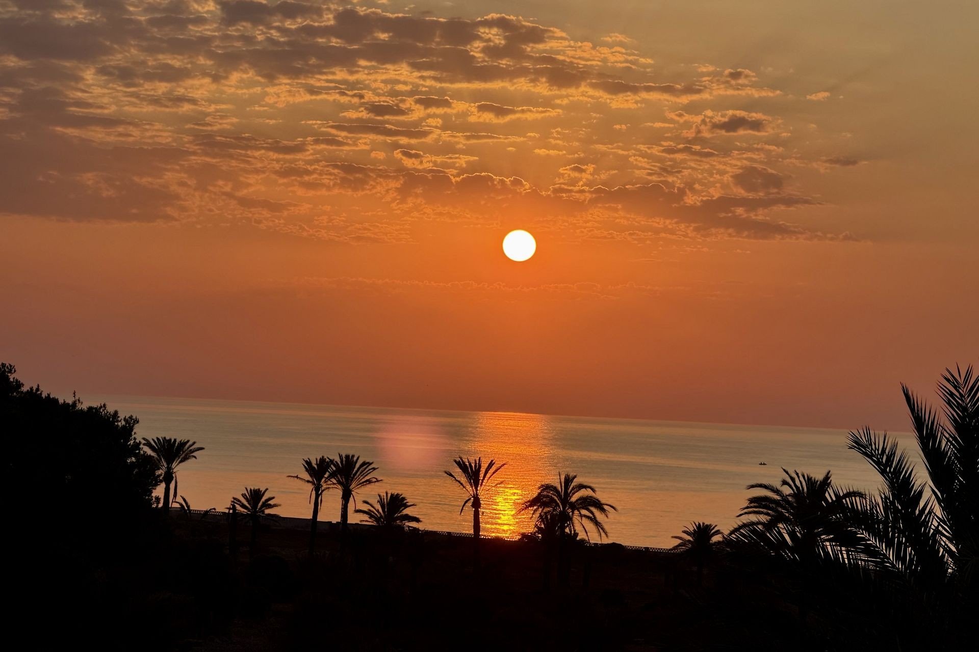 Revente - Penthouse -
San Miguel de Salinas - Inland