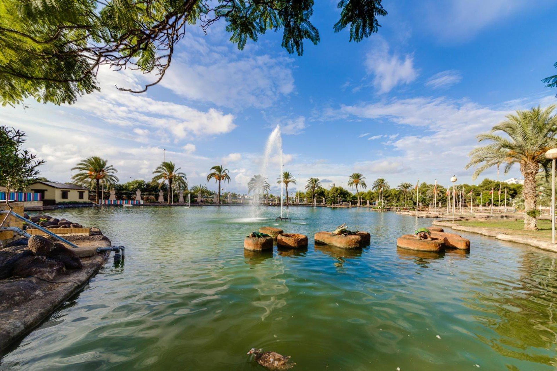 Revente - Penthouse -
Torrevieja - Centro