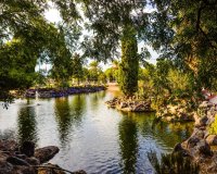 Revente - Penthouse -
Torrevieja - Centro