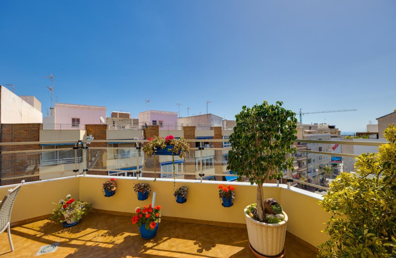 Revente - Penthouse -
Torrevieja - Centro