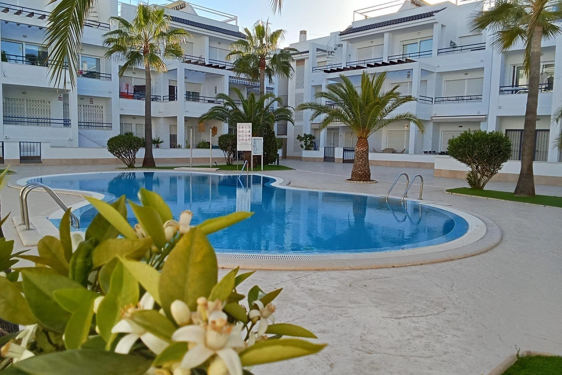Revente - Penthouse -
Torrevieja - La Veleta