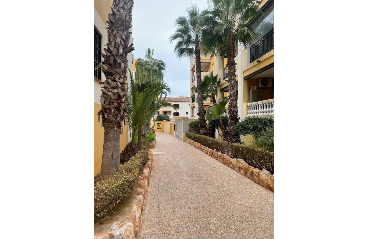 Revente - Penthouse -
Torrevieja - Los Frutales