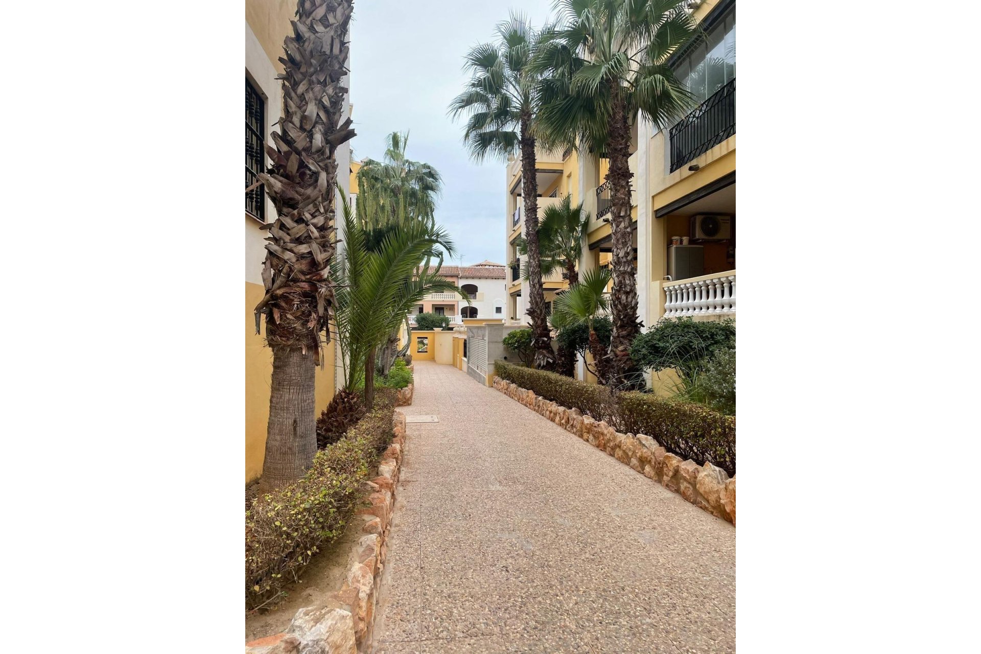 Revente - Penthouse -
Torrevieja - Los Frutales