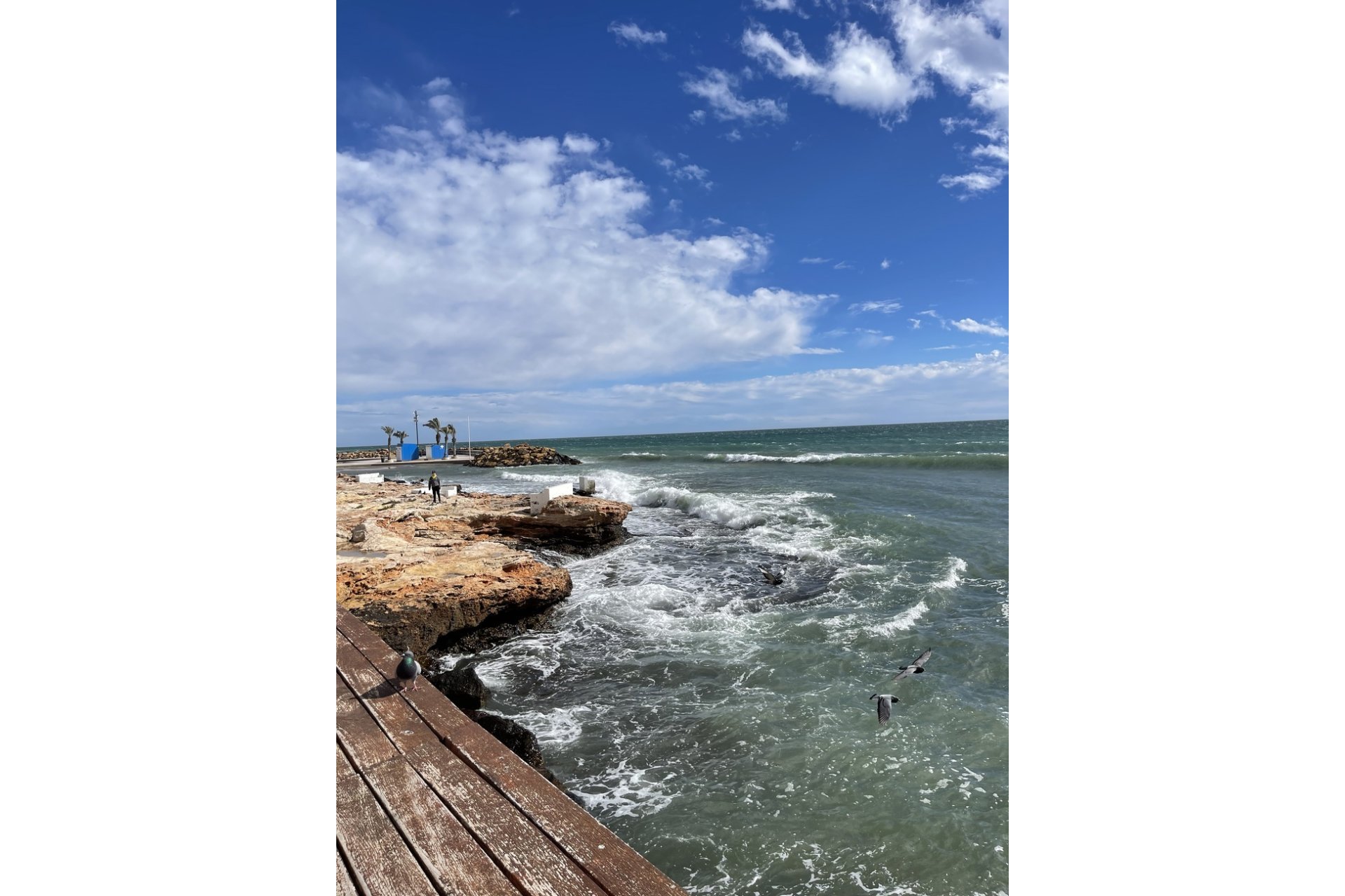 Revente - Penthouse -
Torrevieja - Playa de cura