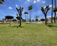 Revente - Quad House -
Orihuela Costa