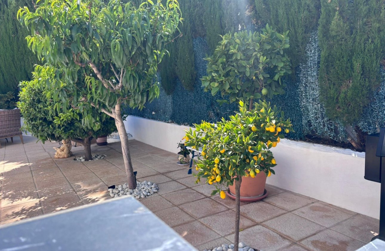 Revente - Semi Detached -
Torrevieja - Los Balcones