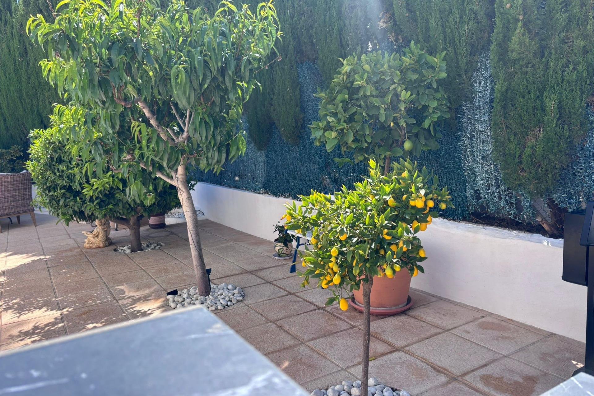 Revente - Semi Detached -
Torrevieja - Los Balcones