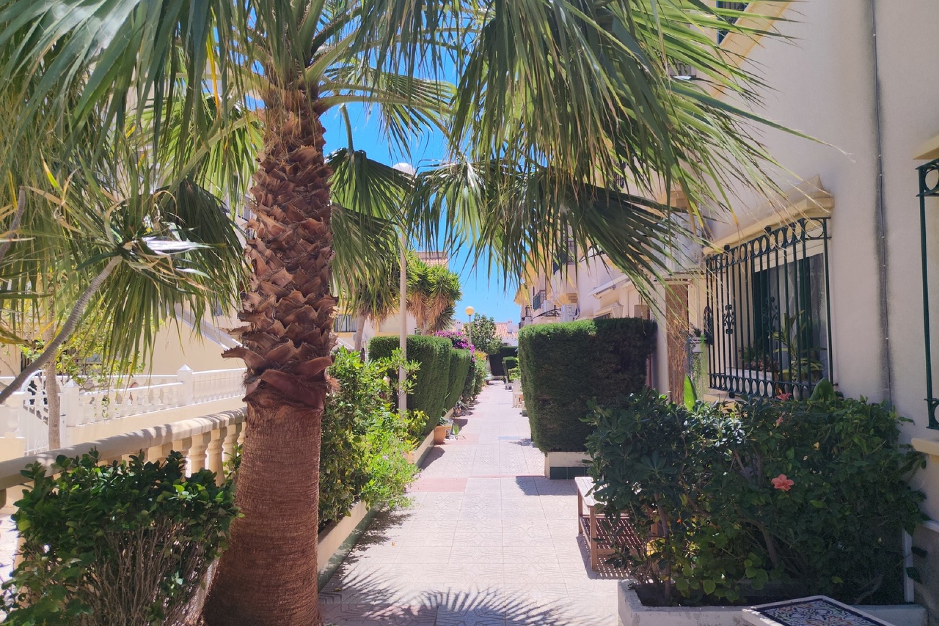 Revente - Town House -
La Zenia - Costa Blanca