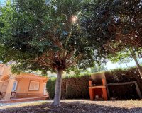 Revente - Town House -
Mil Palmeras - Costa Blanca