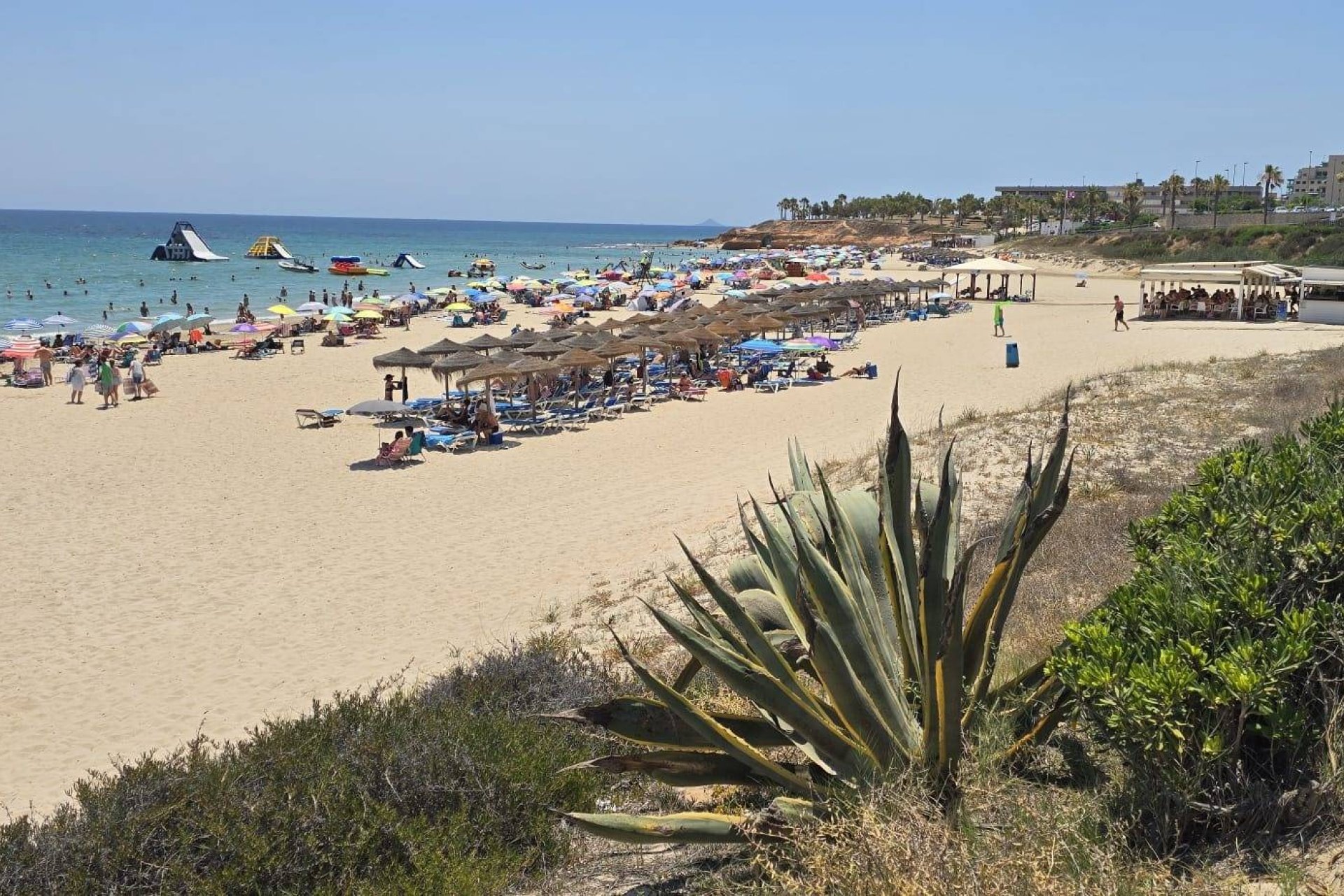 Revente - Town House -
Pilar de la Horadada - Mil Palmeras