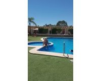 Revente - Town House -
Pilar de la Horadada - Mil Palmeras