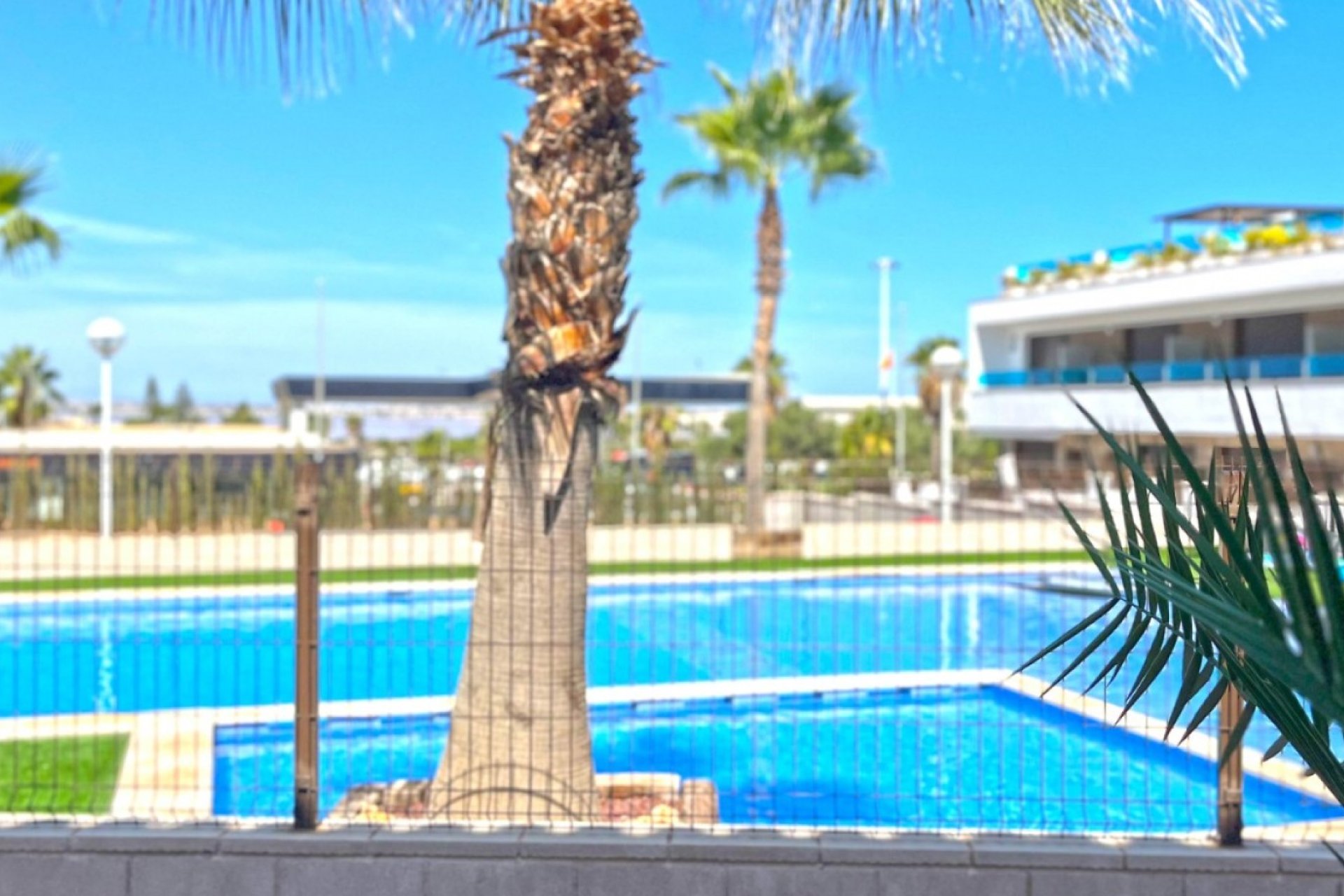 Revente - Town House -
Torrevieja - Costa Blanca
