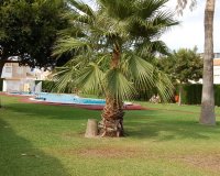 Revente - Town House -
Torrevieja - Costa Blanca