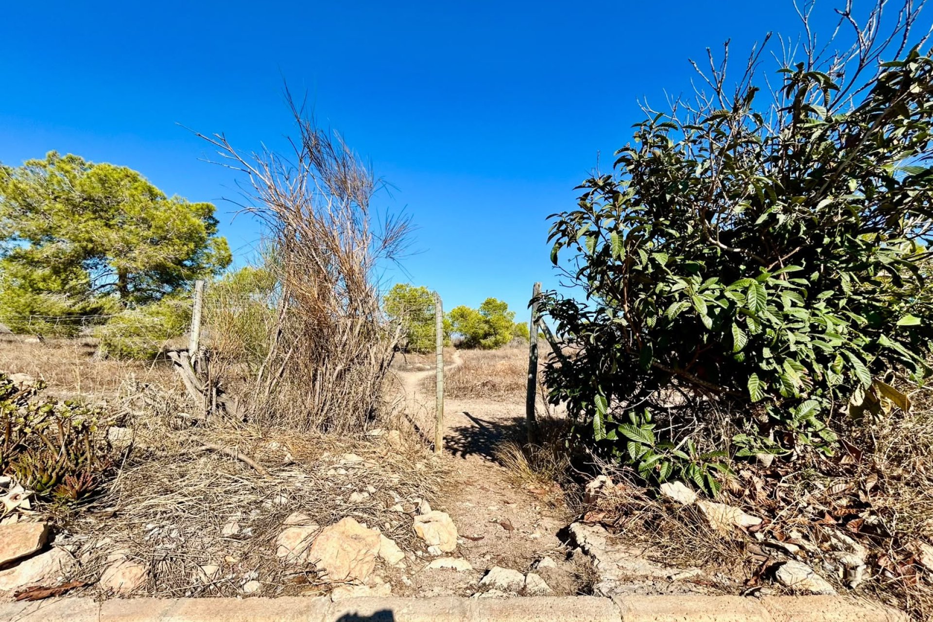 Revente - Town House -
Torrevieja - Costa Blanca