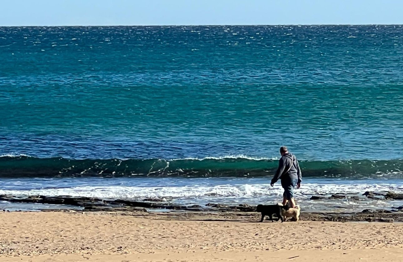 Revente - Town House -
Torrevieja - La Mata