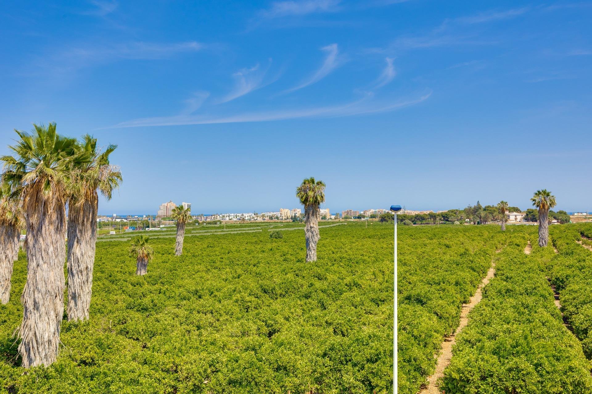 Revente - Town House -
Torrevieja - Los Balcones