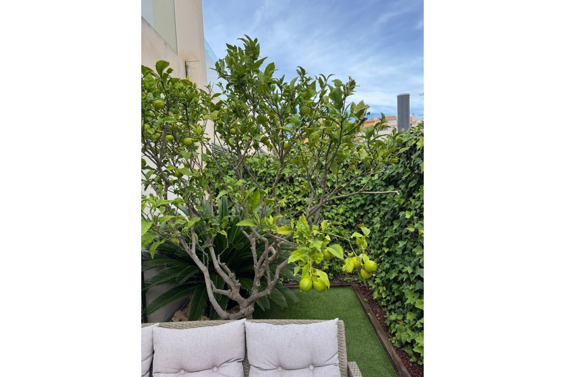 Revente - Town House -
Torrevieja - Punta Prima