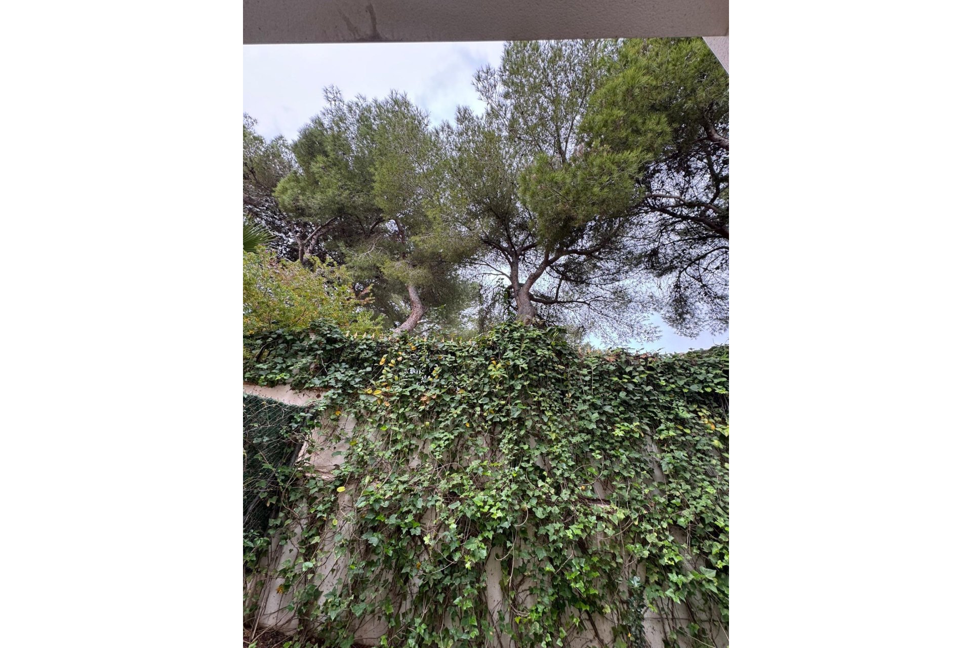 Revente - Town House -
Torrevieja - Punta Prima