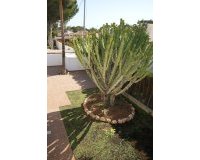 Revente - Villa -
Cabo Roig - Costa Blanca