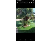 Revente - Villa -
Campoamor - Costa Blanca