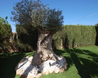 Revente - Villa -
Ciudad Quesada - Costa Blanca