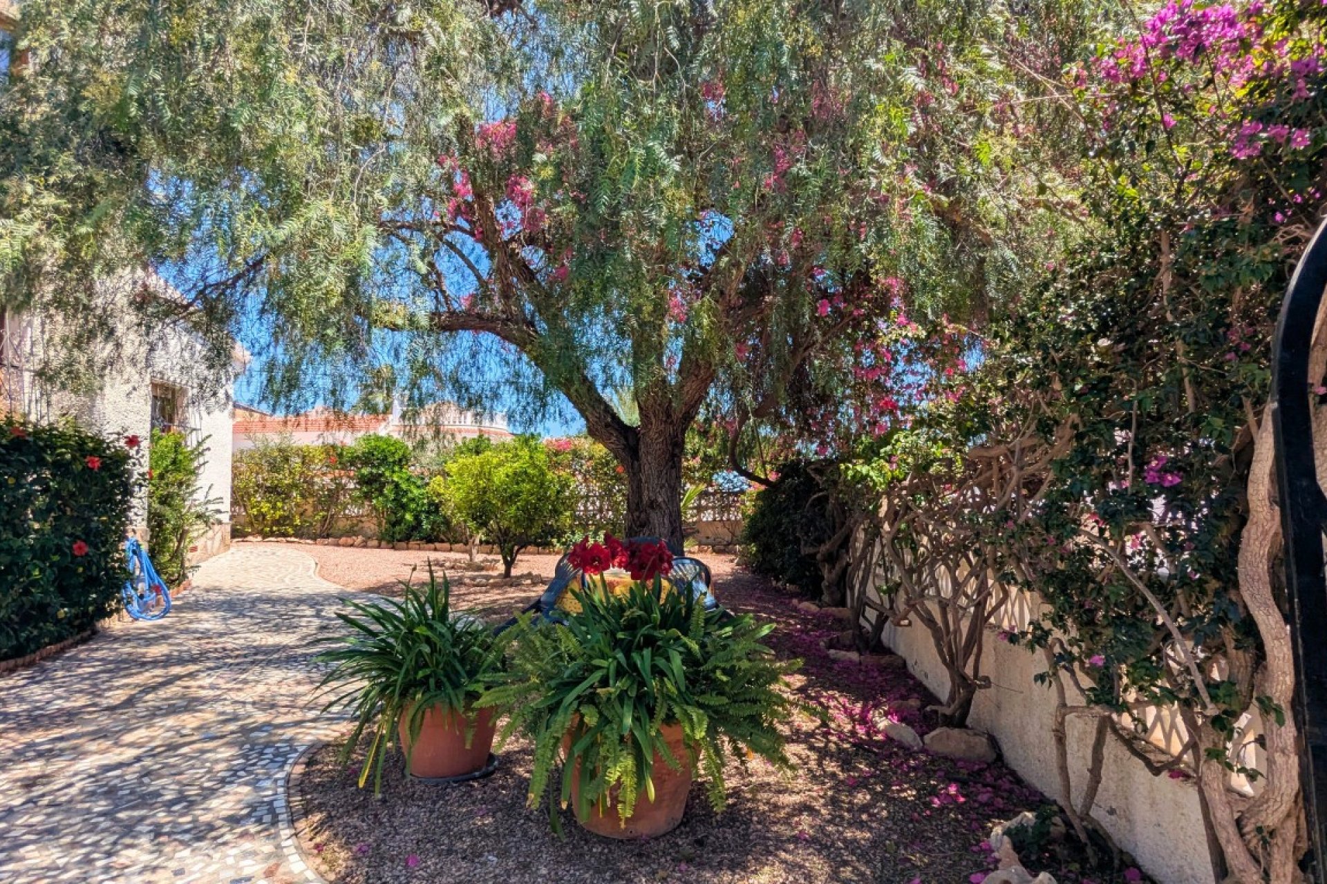 Revente - Villa -
Ciudad Quesada - Costa Blanca