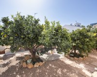Revente - Villa -
La Regia - Costa Blanca