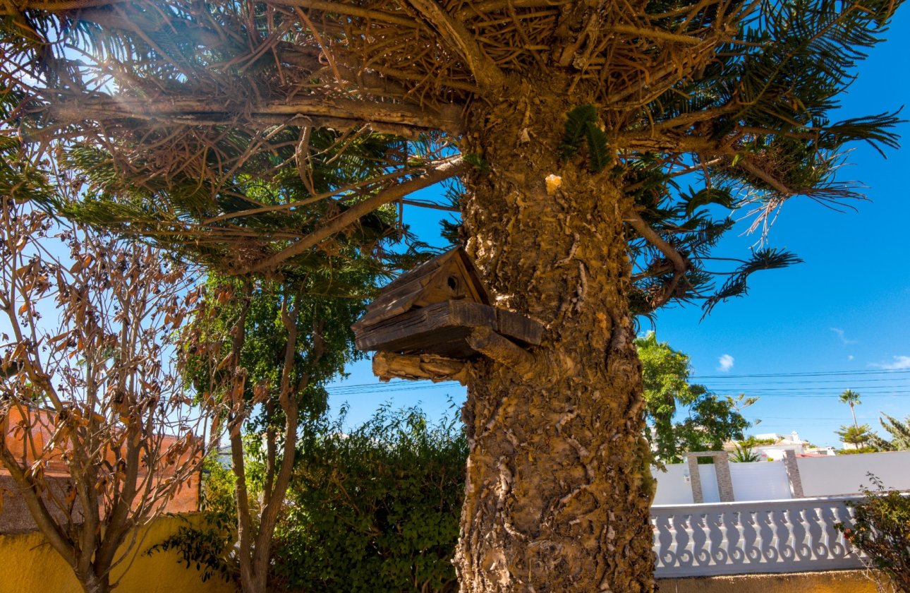 Revente - Villa -
La Siesta - Costa Blanca