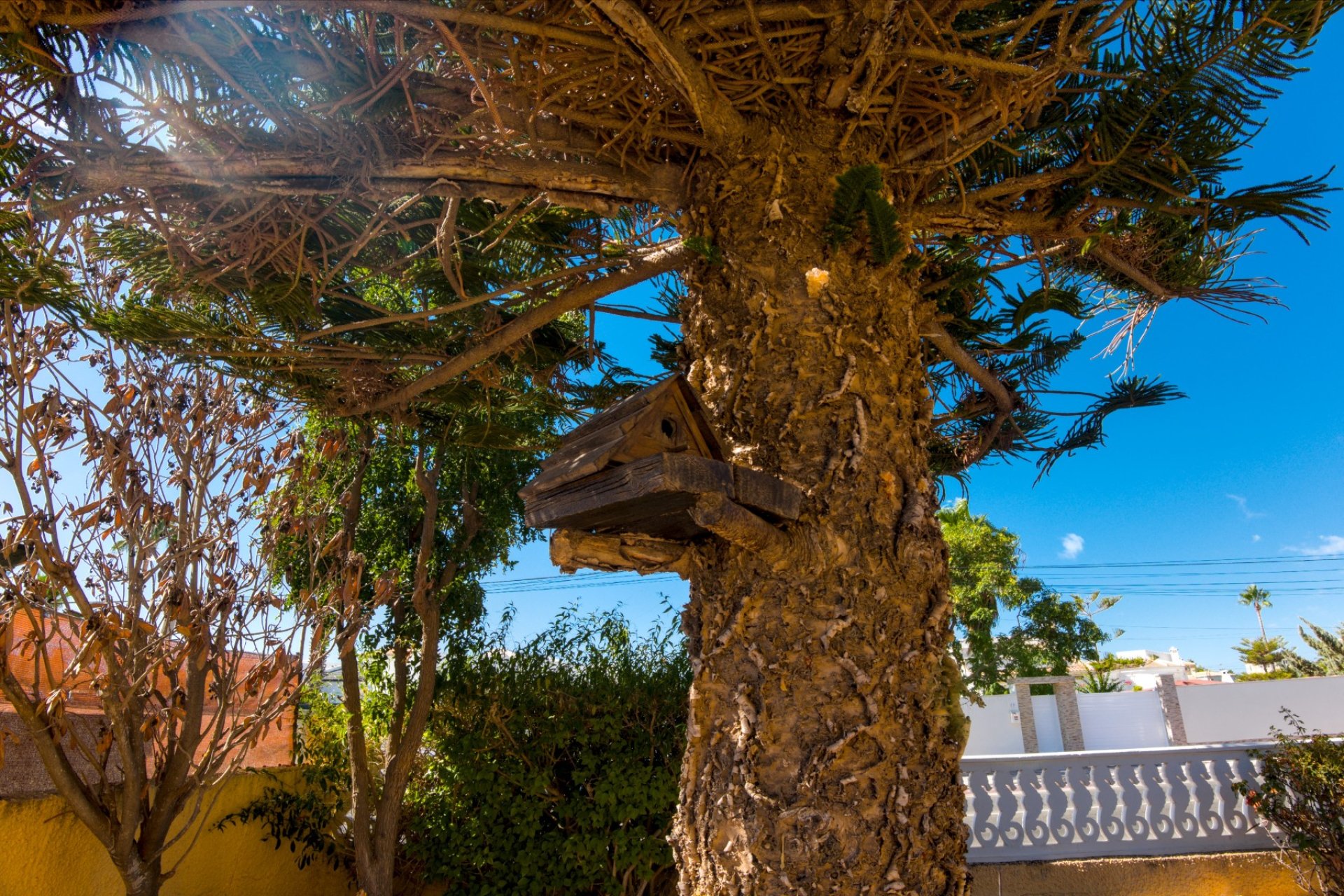 Revente - Villa -
La Siesta - Costa Blanca