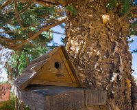 Revente - Villa -
La Siesta - Costa Blanca