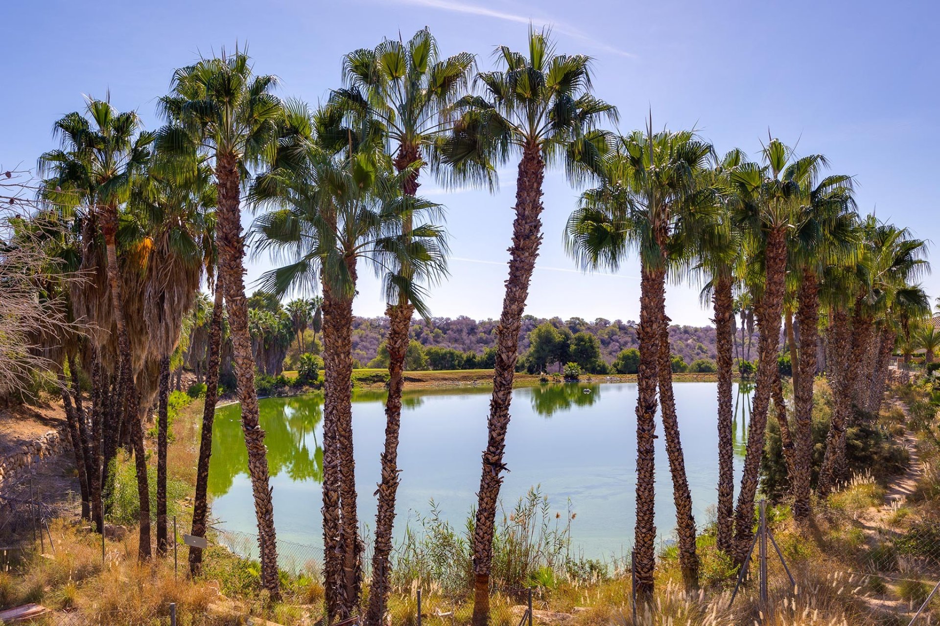 Revente - Villa -
Orihuela Costa - Costa Blanca