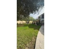 Revente - Villa -
Orihuela Costa - Punta Prima