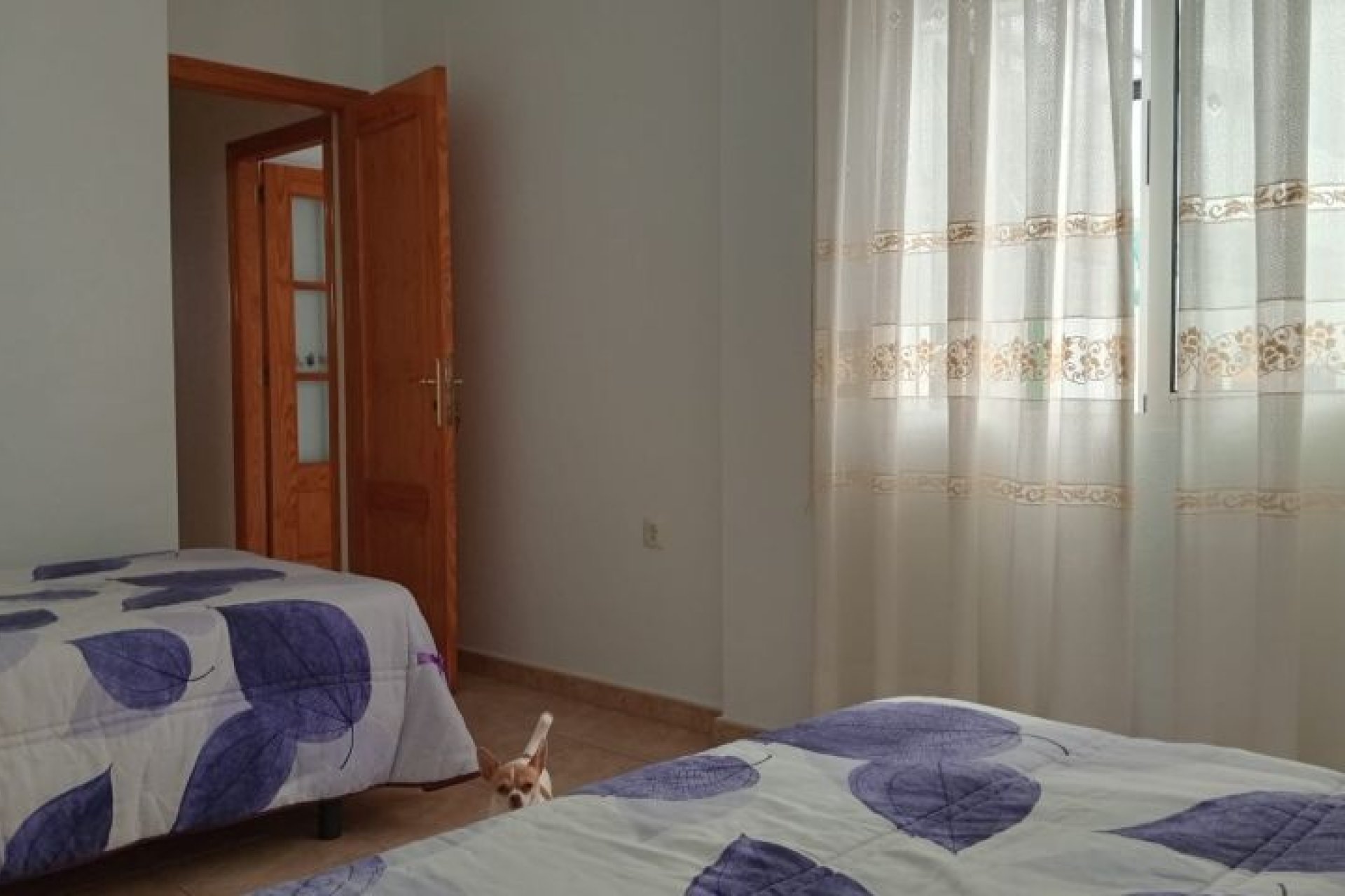 Revente - Villa -
Pilar de la Horadada - Costa Blanca