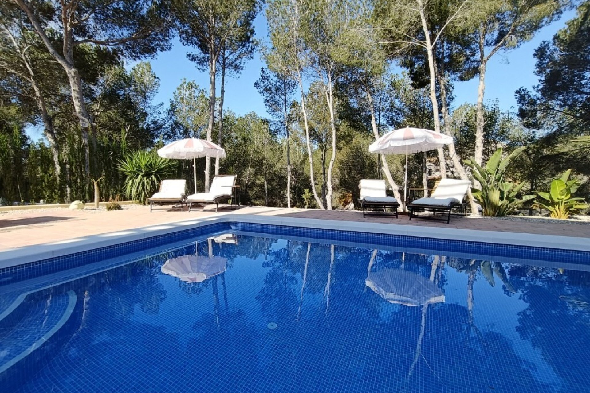 Revente - Villa -
Pilar de la Horadada - Pinar de Campoverde