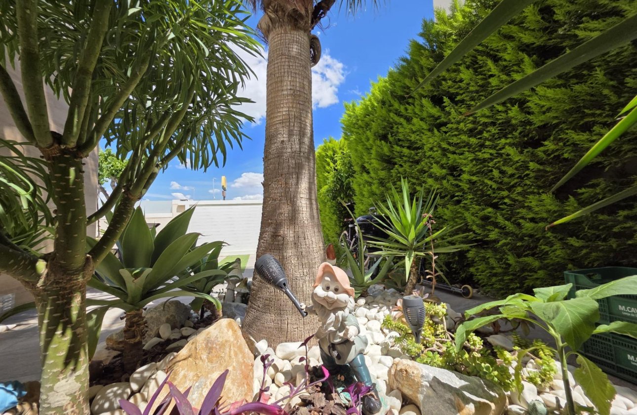 Revente - Villa -
Pilar de la Horadada - Zona Pueblo